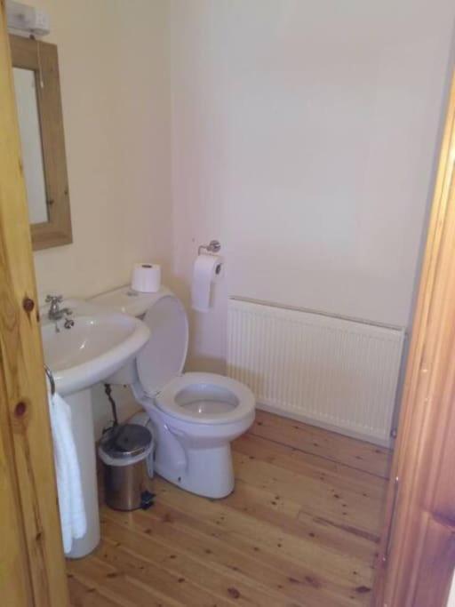 Вилла Townhouse 2 Barrow Lane Карлоу Экстерьер фото
